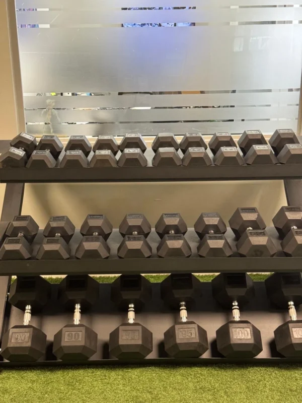 Buge Hex Dumbell Set With Rack 2