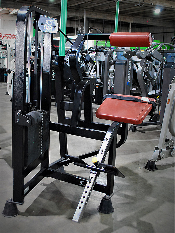 Cybex Vr2 Back Extension Machine