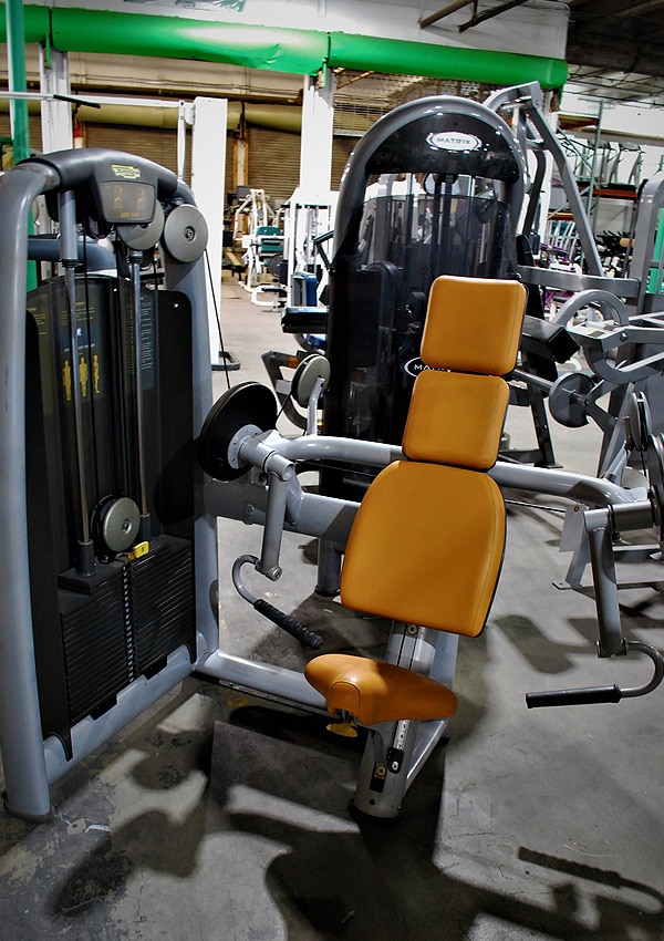 Technogym Selection Arm Curl