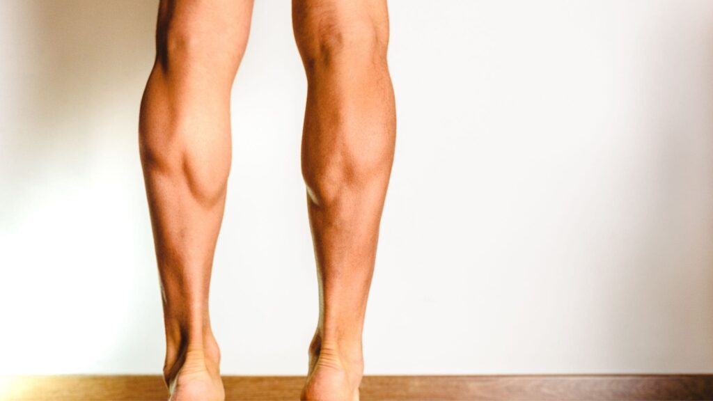 Calves